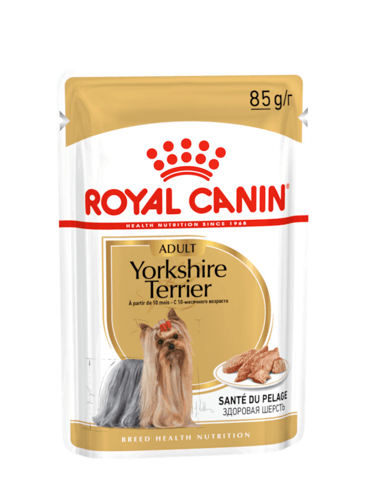 Yorkshire Terrier umido Royal Canin 12x85 gr