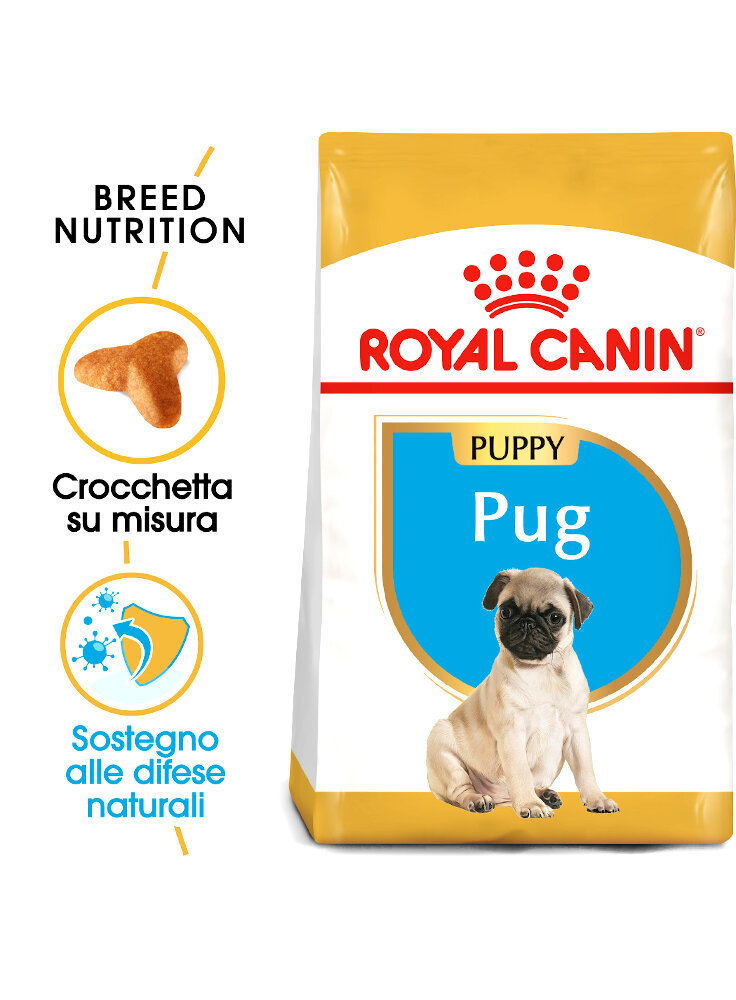 Carlino puppy Royal Canin