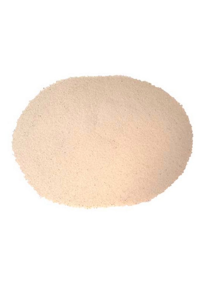 Hobby terrano Fondo per terrario pogona sabbia del deserto bianco 5 Kg