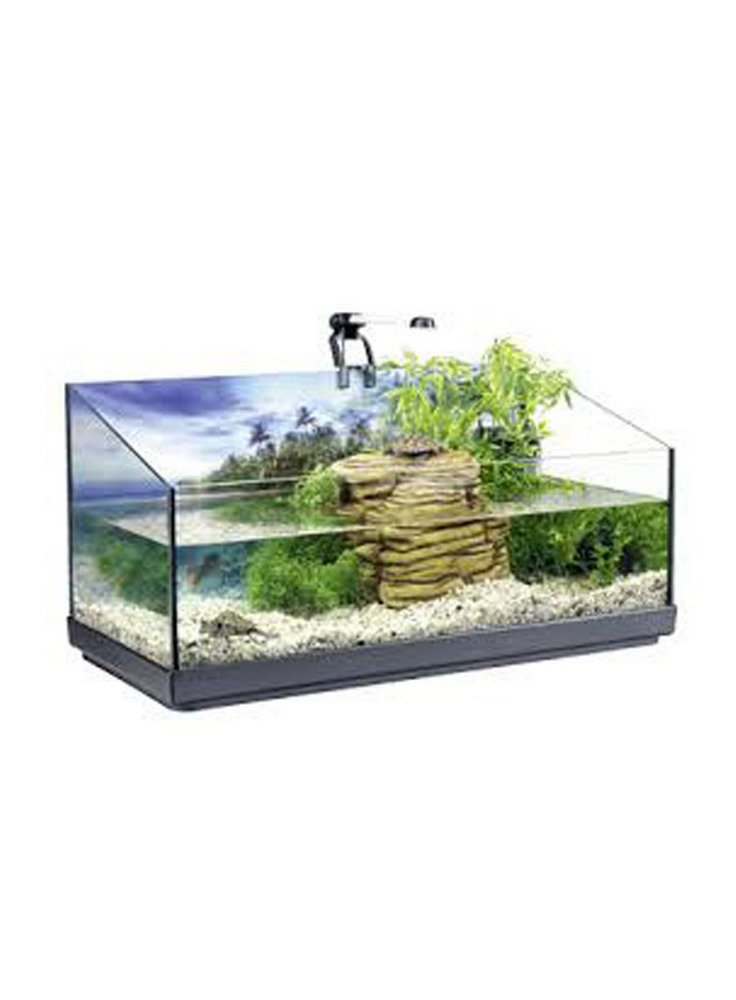 Tartarughiera tetra Reptoaquaset 76x38