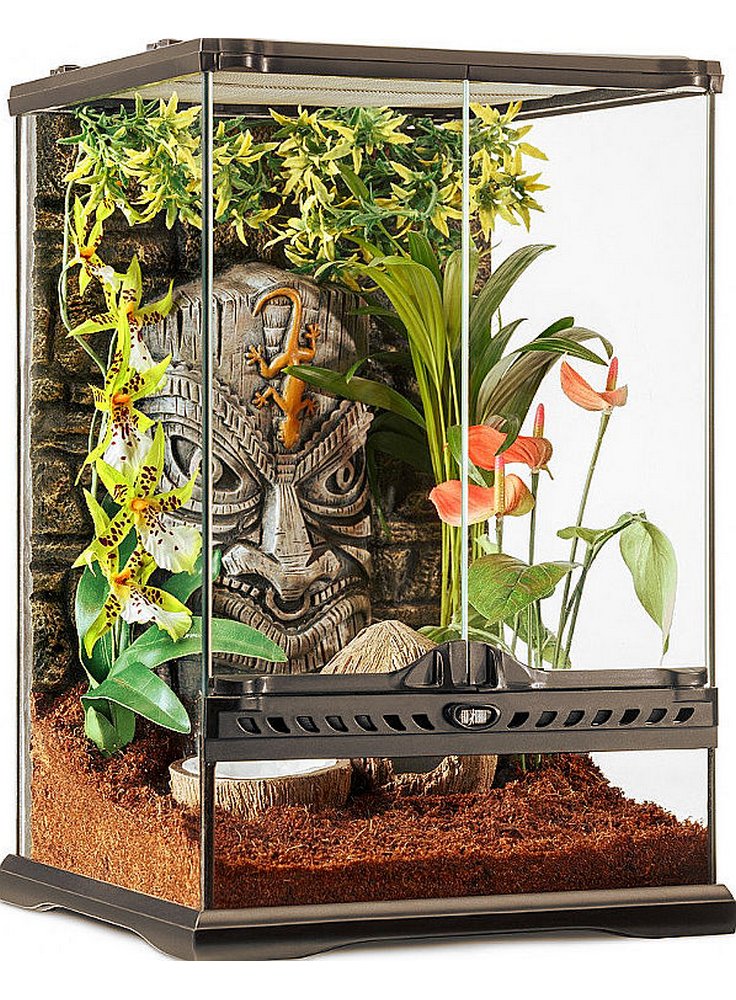 Exo Terra Tiki Terrarium