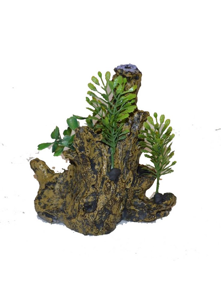 Decorazione Tronco mix con piante y1