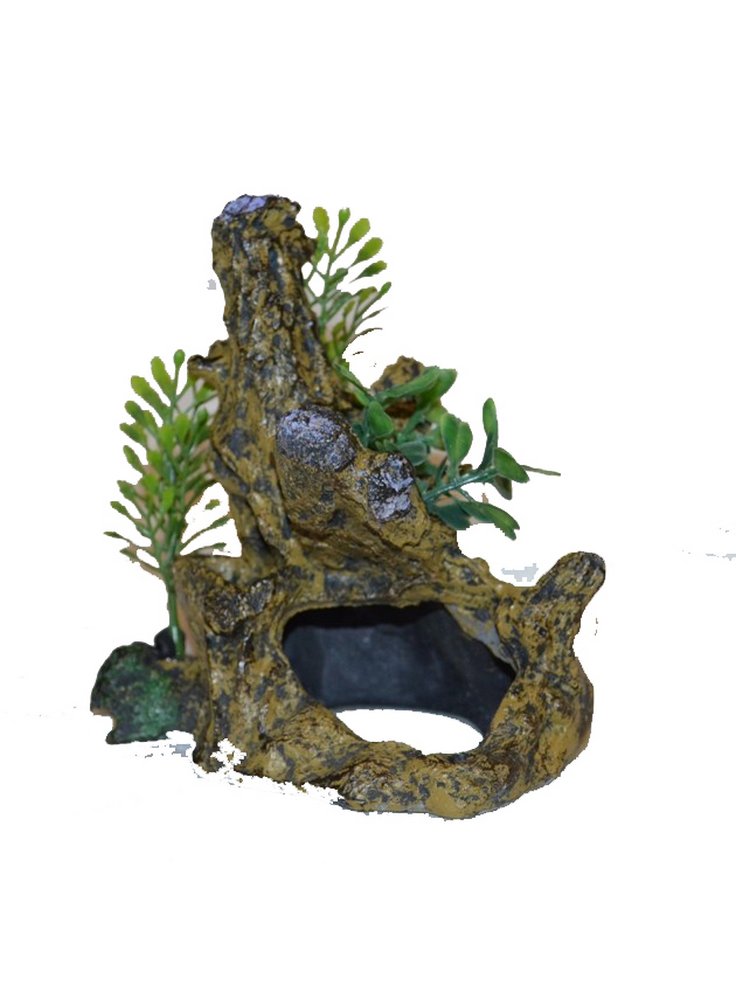 tronco_acquario2