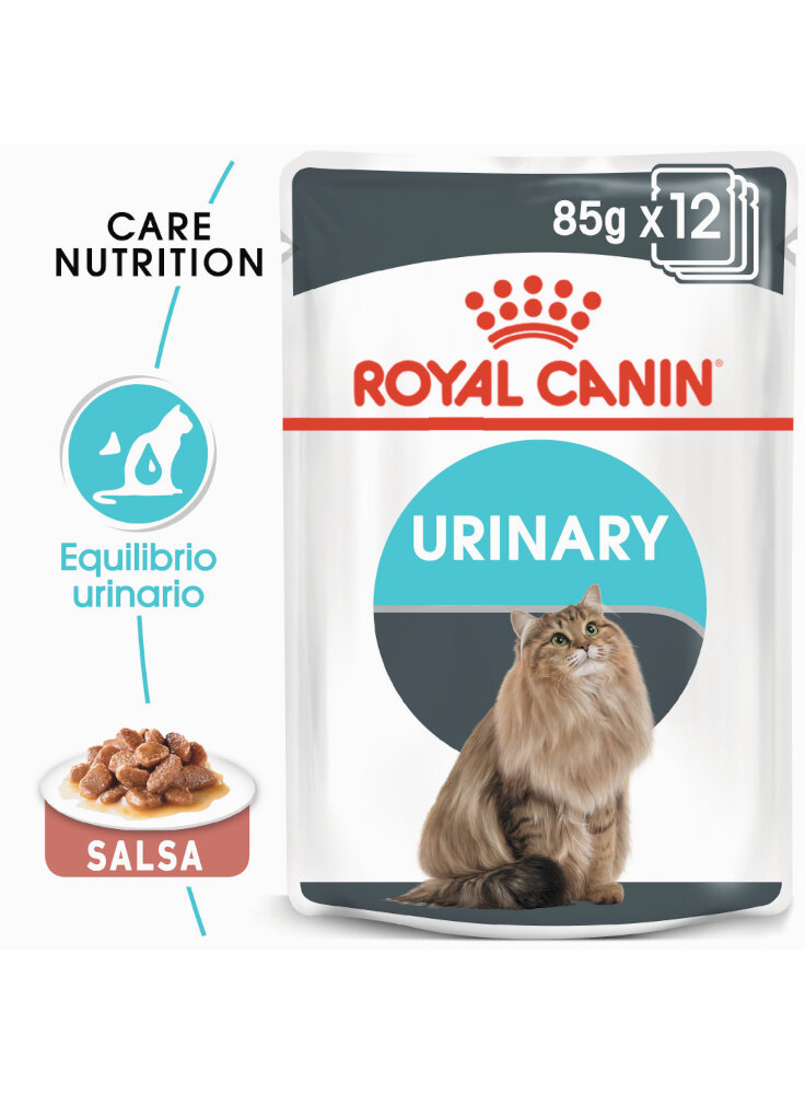 Urinary Care buste salsa gatto Royal Canin 12x85 gr