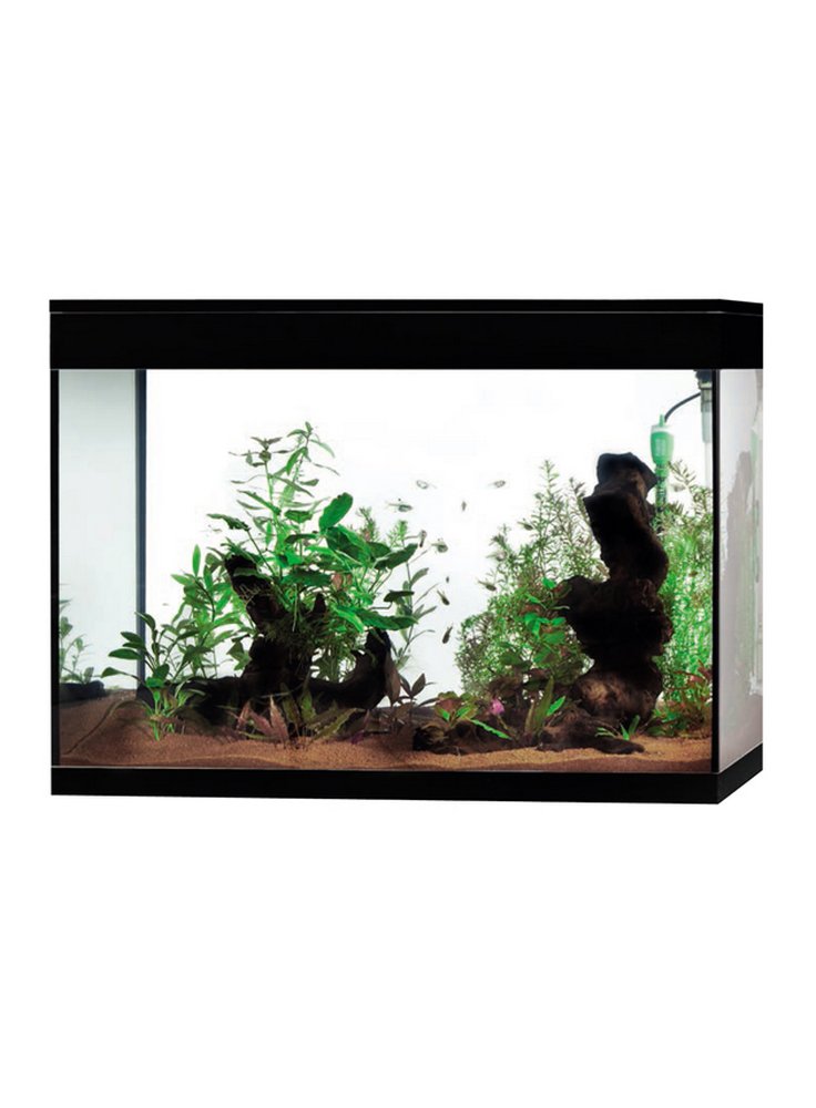 VASCA RICAMBIO ACQUARIO ASKOLL PURE XL HIGH CUBE