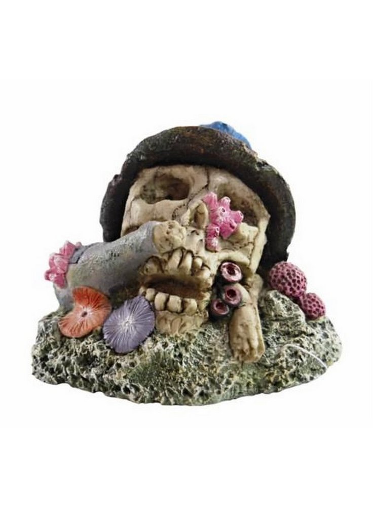 Decorazione per acquari e terrari Haquoss Koral Skull 3