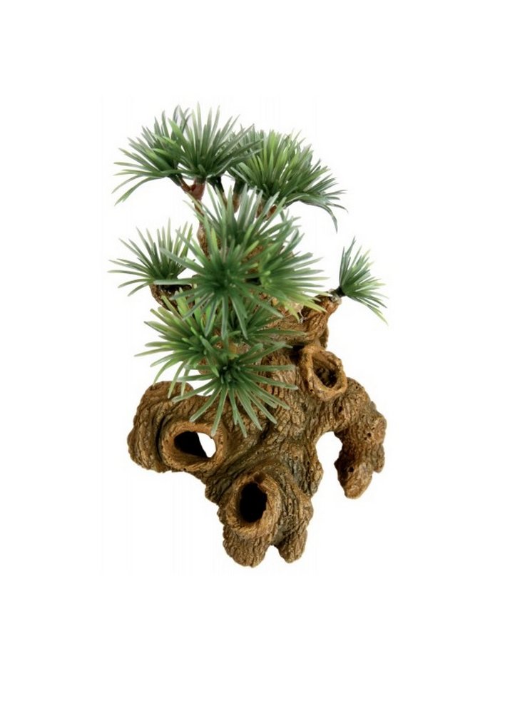 Decorazione per acquari Bonsai nano