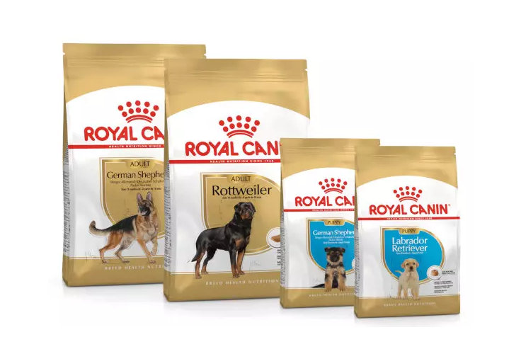 cane breed royalcanin