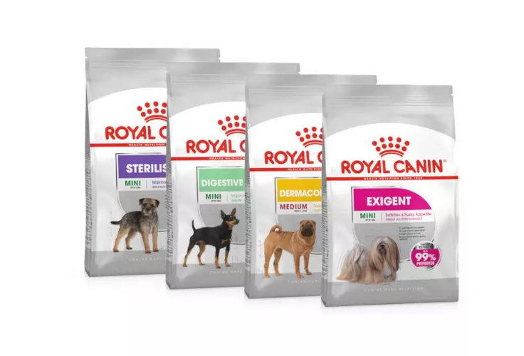 cane care royalcanin