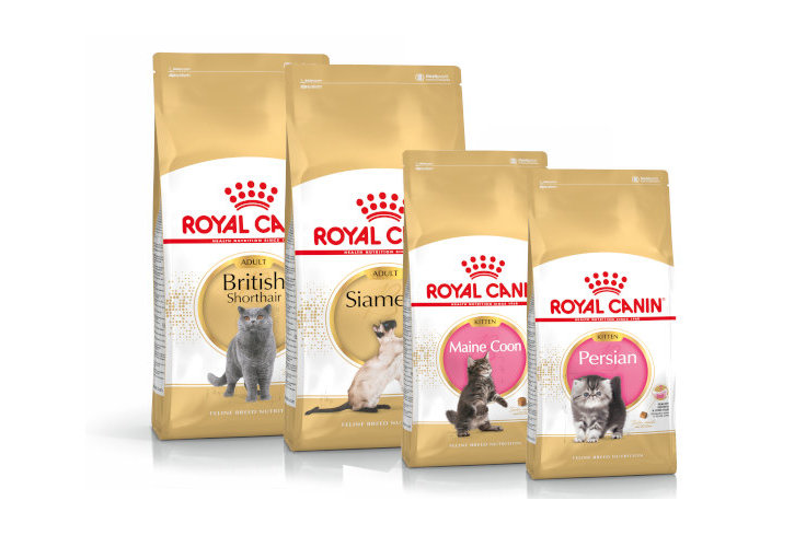 gatto breed royalcanin