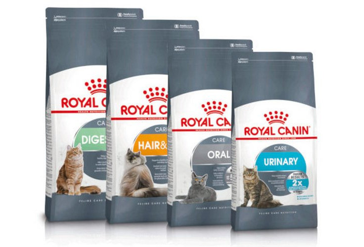 gatto care royalcanin