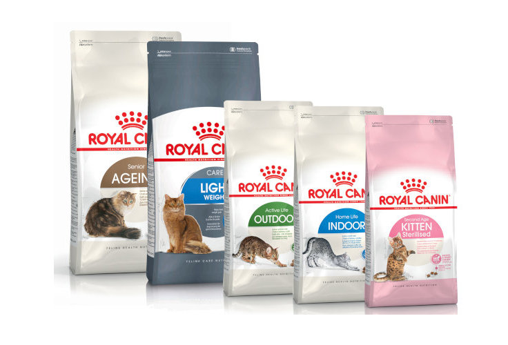 gatto health royalcanin