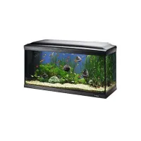 Acquario cayman 110 professional 230 litri