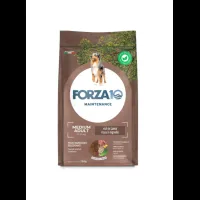 Forza 10 Medium Adult Maintenance Agnello e Riso kg 12,5