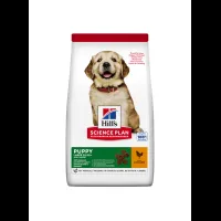 HILL'S SCIENCE PLAN Puppy Large Breed Alimento per cuccioli secco per cani al pollo