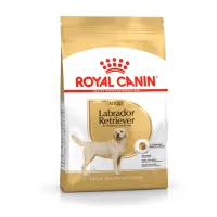 Royal canin Labrador Retriever ADULT Royal Canin