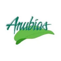 Anubias