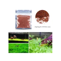 Semi pianta Hemianthus Cralicoides assortimento 30x30 busta