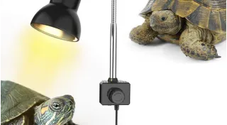 Impianti luce per tartarughiere