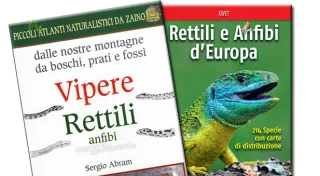 Libri rettili