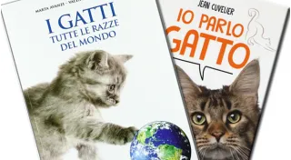 Libri sui gatti