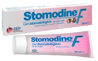 STOMODINE F 30 ML