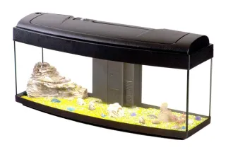 Acquario Image 100x30 solo coperchio e luce