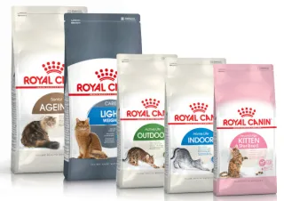 Feline Health Nutrition