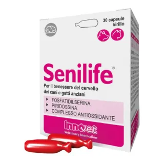 Senilife Plus Capsule