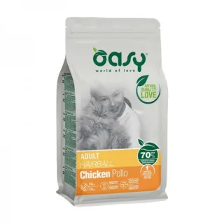 Oasy adult gatto