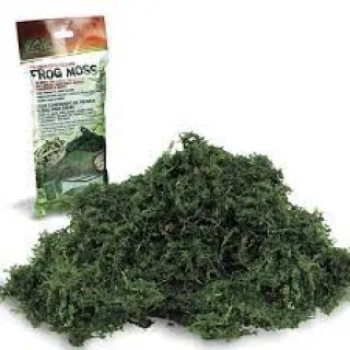 Substrato Compresse FrogMoss 100gr [Zilla]