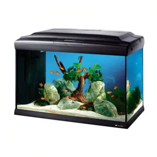 Acquario CAYMAN 60 led