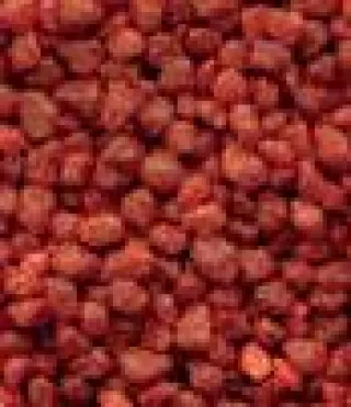 Quarzo ceramizzato per acquari Coral Decor rosso 2.5 Kg