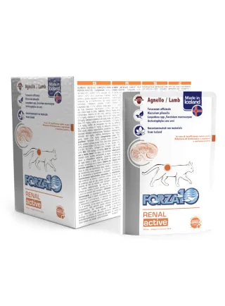 ACTIWET Renal  GATTO  12x100gr