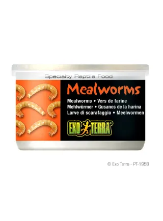 Askoll cibo per rettili in scatola larve MealWorms 34G