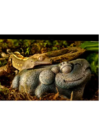 Exo Terra Decorazione per terrario Aztec Frog Water Dish