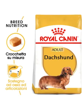 Bassotti DACHSHUND Adult Royal Canin