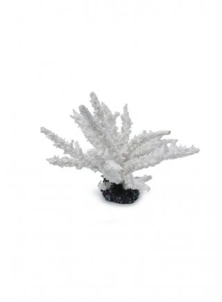 HAQUOSS WHITE ACROPORA - 20,5x20,16h cm