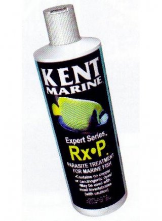 Kent rx-p marine parasite 237 ml puntini bianchi cryptocarion