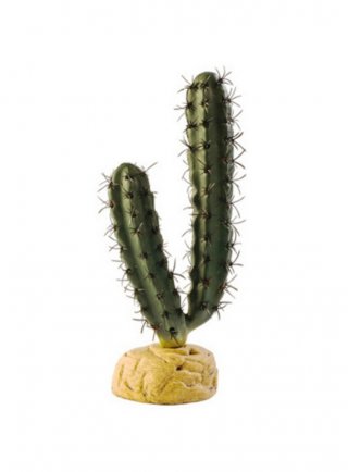 Exoterra pianta finger cactus