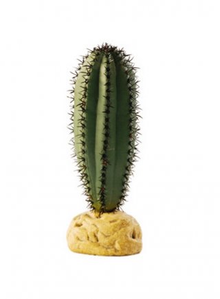 Exoterra pianta saguaro cactus