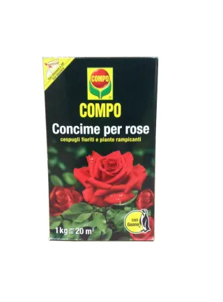 COMPO ROSE CONCIME