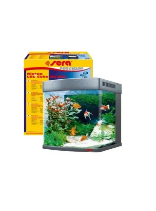 Acquario dolce Biotop LED Cube 130 xxl