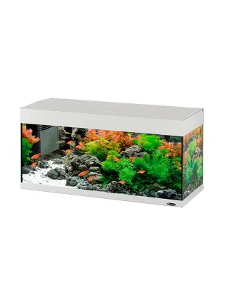 Acquario Dubai 100 led bianco nero