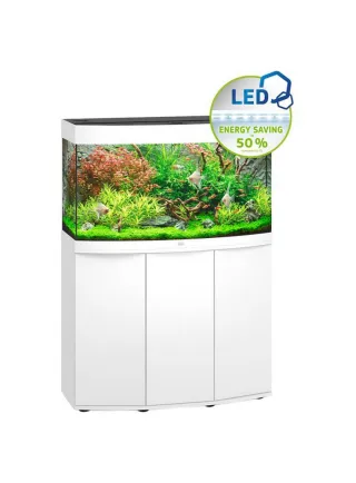 Acquario vision 180 Led nero bianco faggio + supporto + kit allestimento omaggio