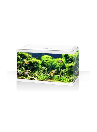 Acquario ambiente aqua 60 LED bianco o nero