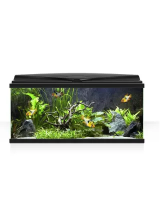 Kit acquario aqua 80 nero +mobile (80x51) faggio + allestimento cm