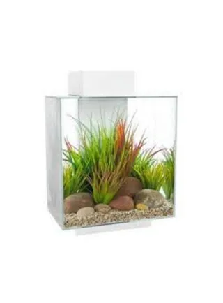 Design acquario edge maxi 46litri 2.0