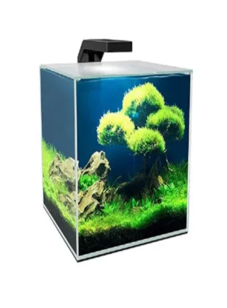 ACQUARIO ASKOLL CUBE