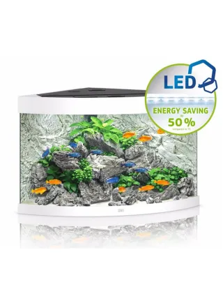 ACQUARIO JUWEL TRIGON 350 Led bianco nero darkwood